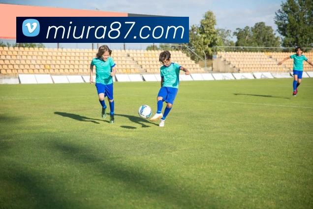 mksports网站APP 封面图