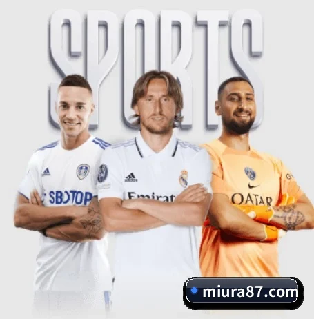 mksports网站的方向